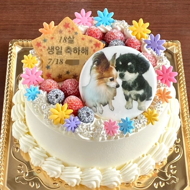 ペットケーキ